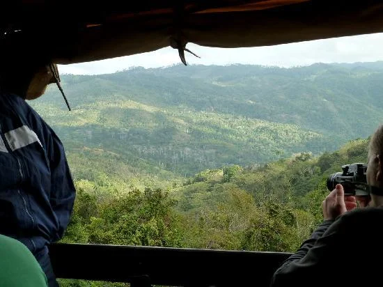 View on topes de collantes