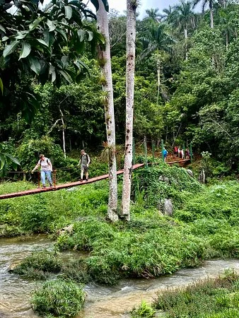 topes de collantes trail