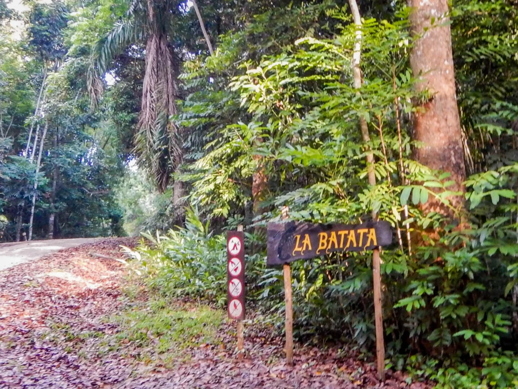 La batata trail - topes de collantes